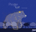 pleine nuit.jpg